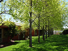Wangaratta Private Hospital