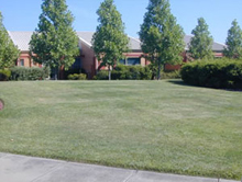 wph_grounds